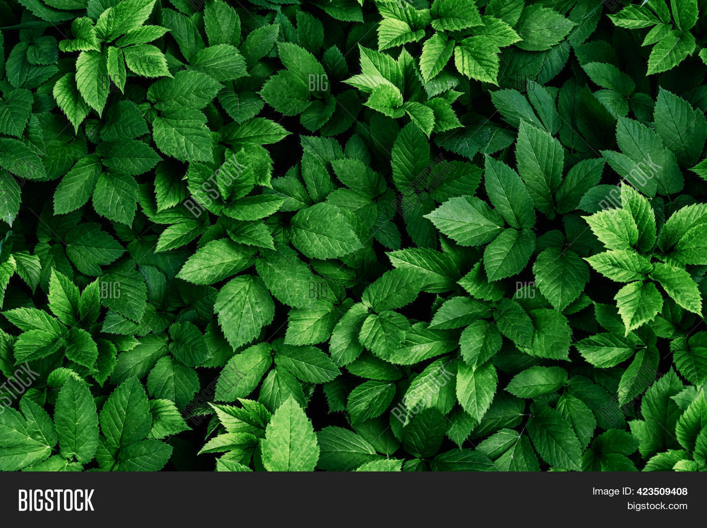 Lush Green Artificial Foliage Panel Dense Leaf Natural Decor