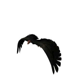 Test 0101