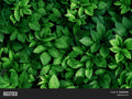 Lush Green Artificial Foliage Panel Dense Leaf Natural Decor