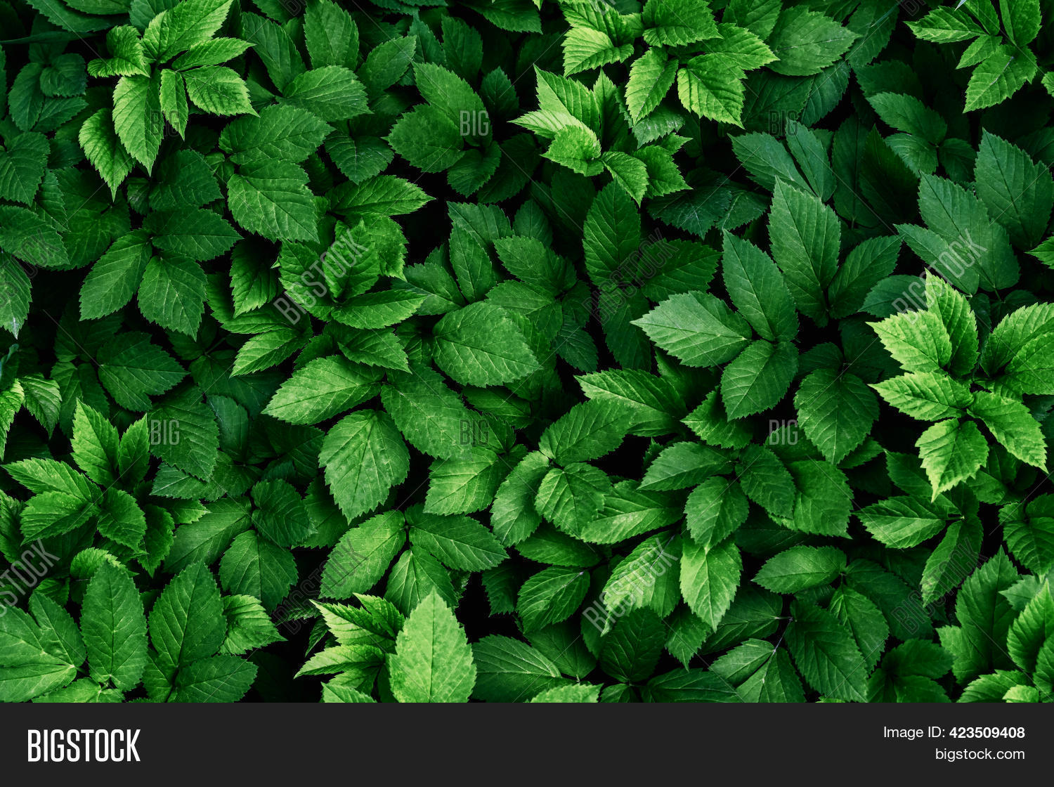 Lush Green Artificial Foliage Panel Dense Leaf Natural Decor