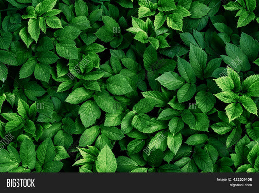 Lush Green Artificial Foliage Panel Dense Leaf Natural Decor