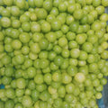 Fresh Organic Limes, Zesty and Juicy for Culinary Delights