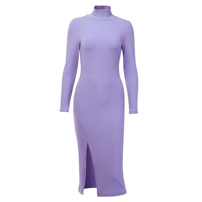 WannaThis Knee-Length Turtleneck Dress - Stylish & Cozy Autumn Essential